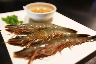 铁板烧在线观看,在线观看，尽享烹饪艺术魅力  第3张