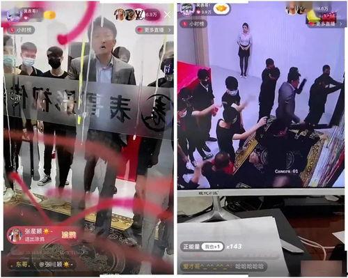 贺仔爆料张二嫂视频,揭秘背后惊人内幕  第3张